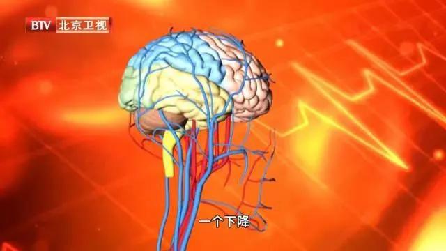 益生菌对身体调理帮助大吗,益生菌真是对肠胃有好处吗