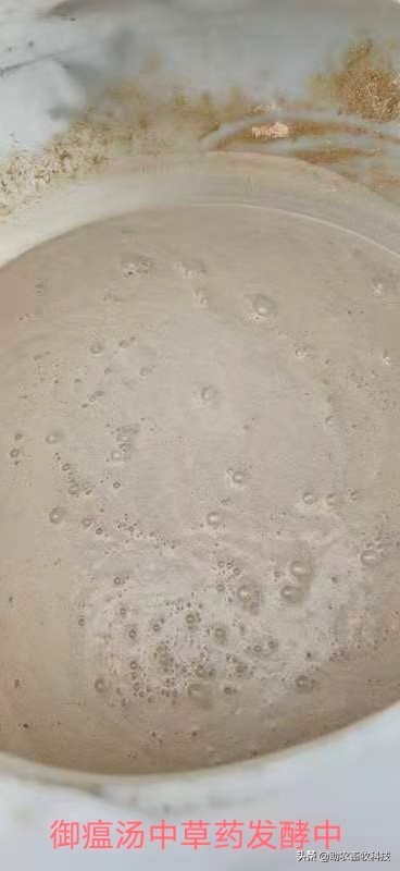 广西南宁养猪场,广西中草药养猪