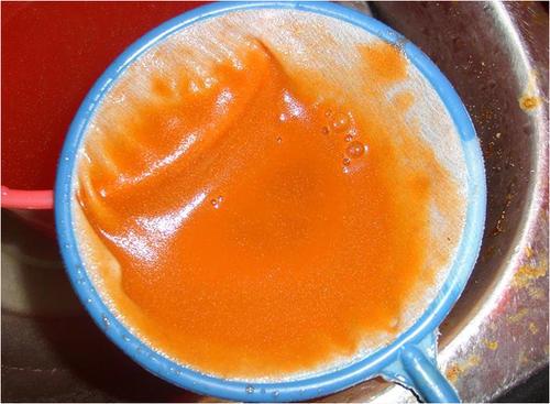 新手怎么养斑马鱼视频讲解,饲养斑马鱼喂什么好呢视频