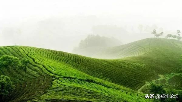 最不“河南”的河南人!这是我看过信阳人最好的自白~