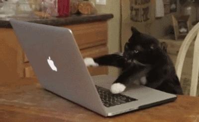 孩子改wifi密码被问责,改wifi密码考不上清华你负责吗