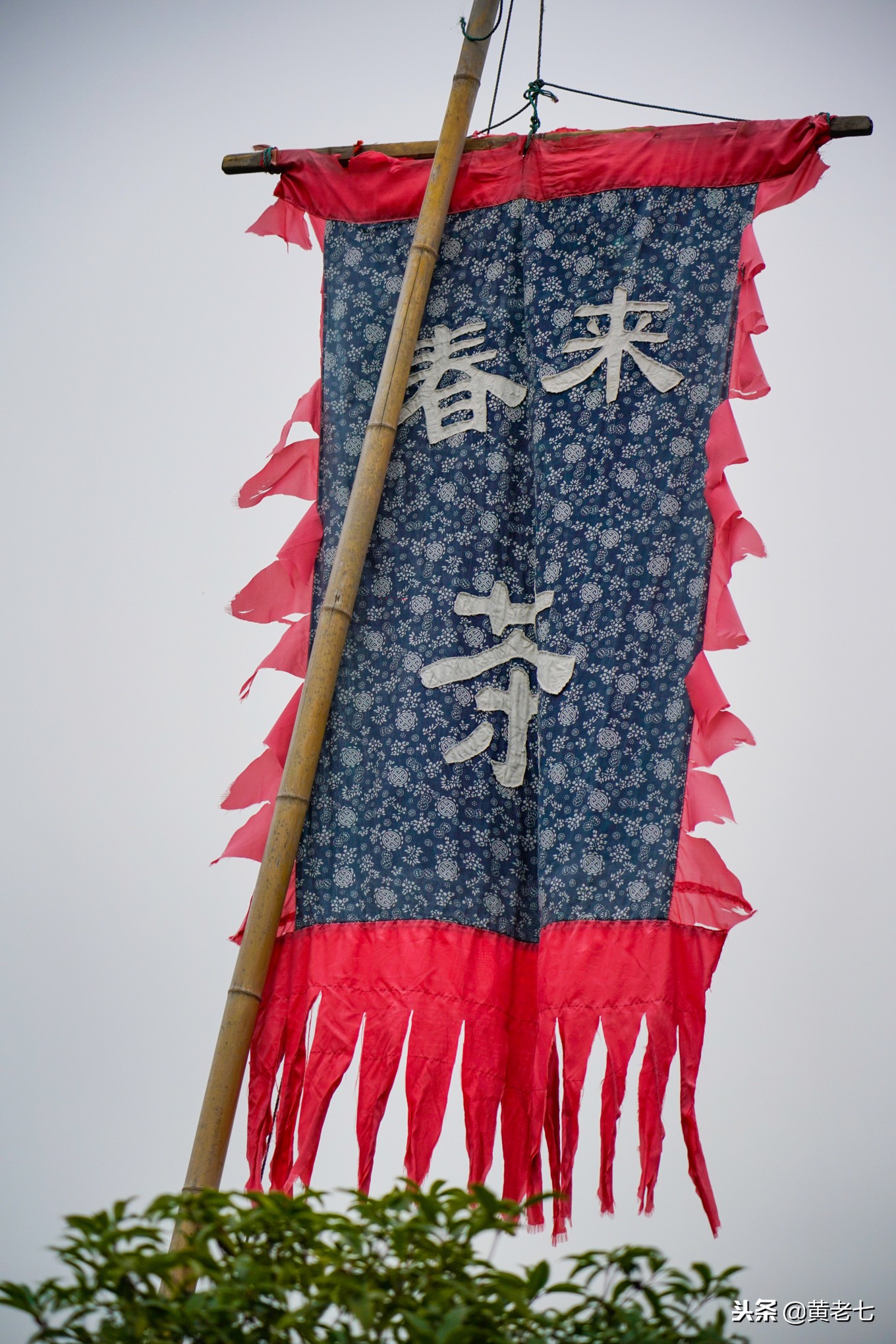 几十年前轰动一时的沙家浜,上海15年前的沙家浜