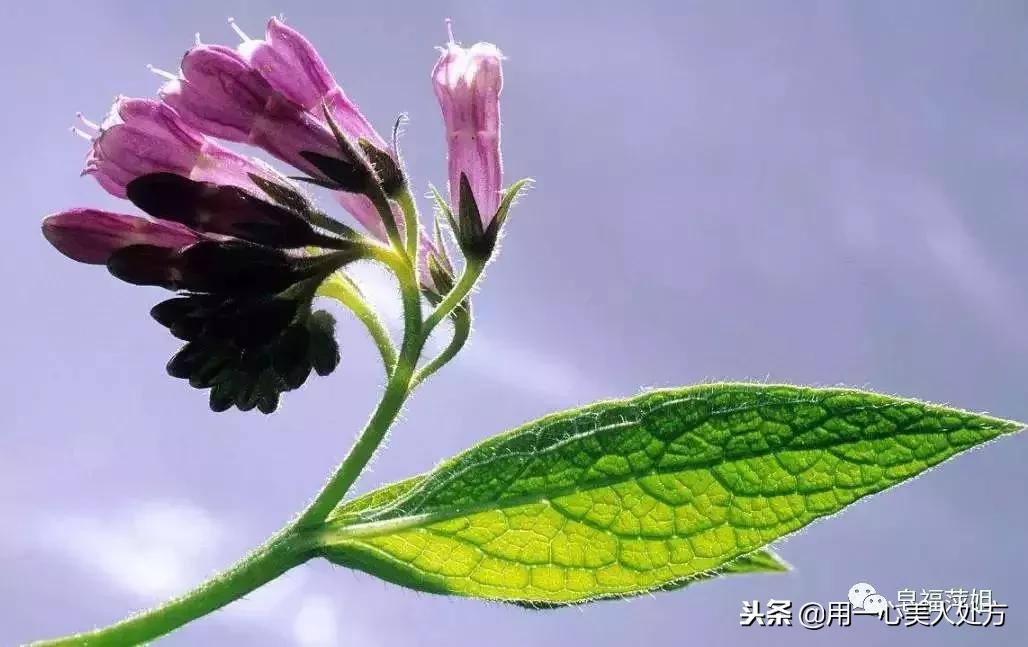 教你一招告别嘴唇干裂出血,嘴唇不痛不出血干裂脱皮怎么回事