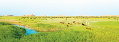 库布齐沙漠绿化防止再次沙化,荒漠化防治图