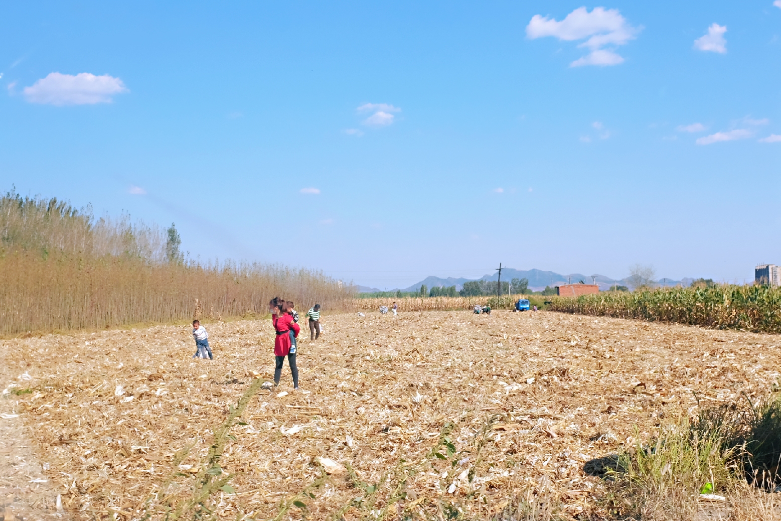 到了北戴河之后怎么去海滨浴场,北戴河怪楼奇园景区今天可以玩吗