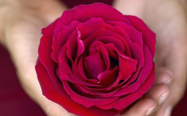 宫颈癌一定是感染hpv引起的吗,hpv感染就会得宫颈癌吗