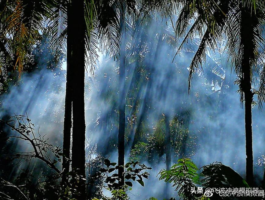 飞波与美娜多合作的项目预计在今年运营