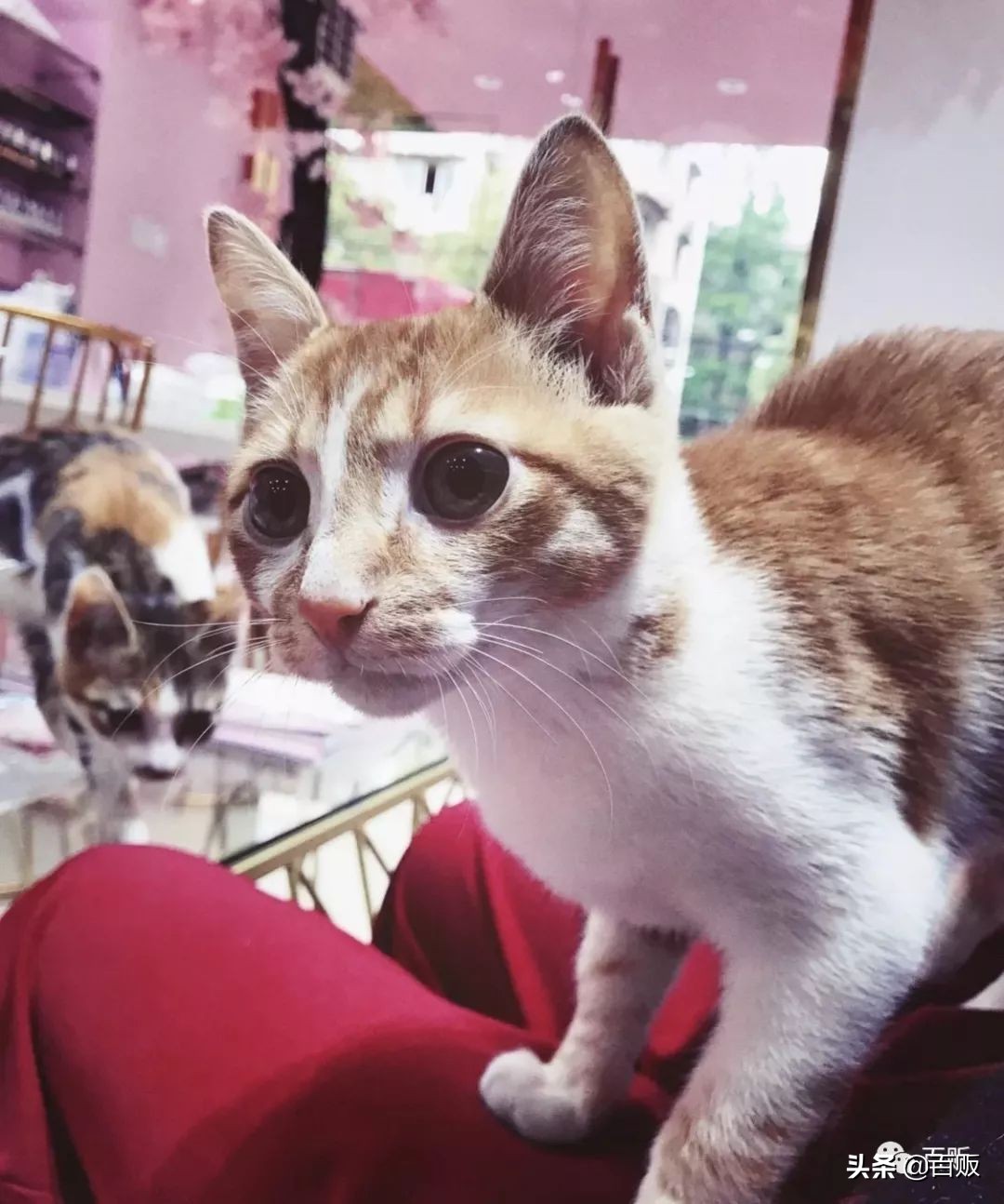 开一家美甲店需要投资多少钱,开一家美甲店需要什么条件