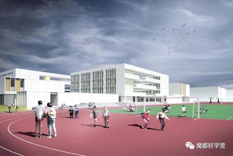 2020上海新开学校,上海新招生大学