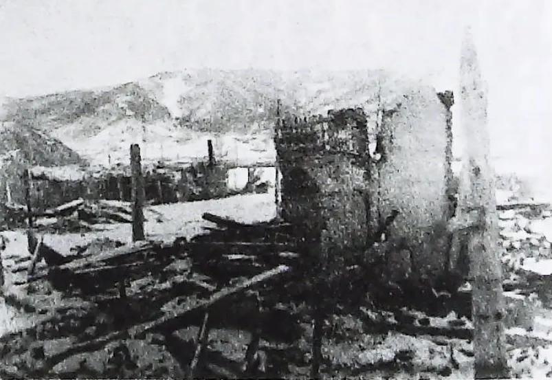 曹宠,曹保育教学随笔