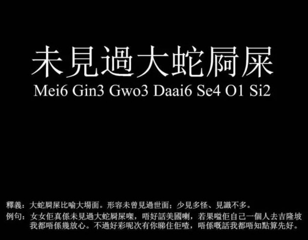 十级粤语广东话顺口溜,广东话俗语大汇编第一期