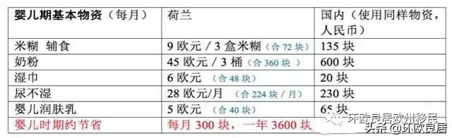 荷兰生活费用一年多少钱 (在德国养大一个孩子要多少钱)
