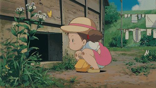 宫崎骏龙猫中一共有多少只龙猫,宫崎骏龙猫动画电影大全