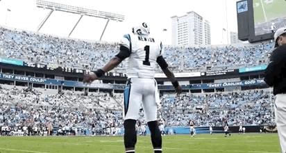 《永别了卡罗莱纳，你好新英格兰》——牛顿的告白