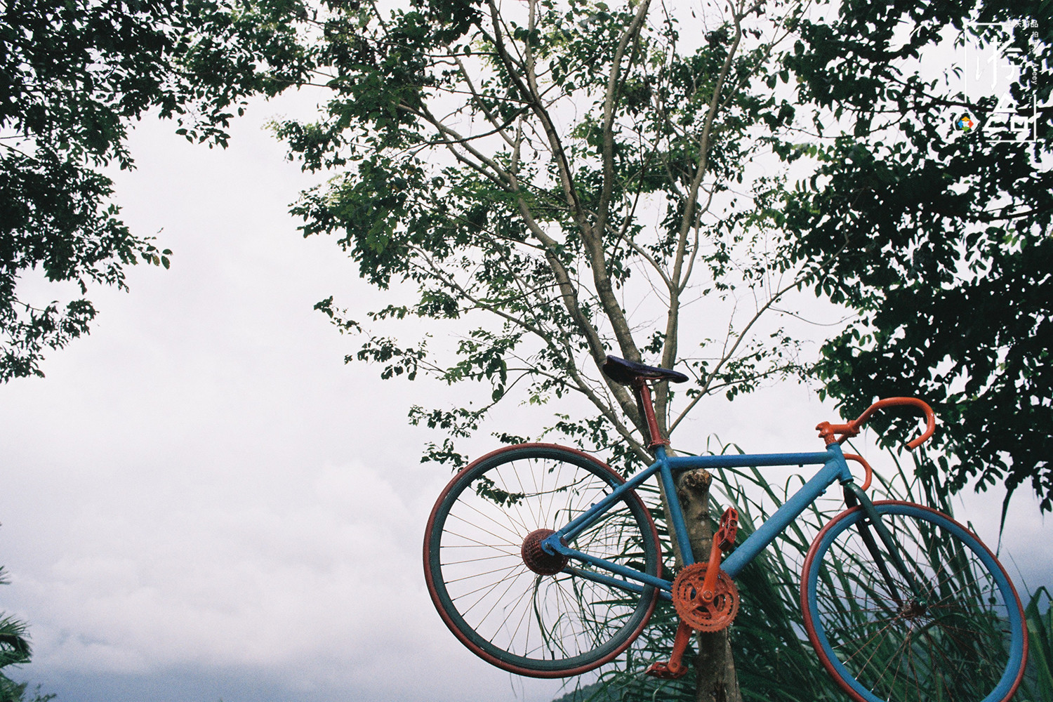 重庆人把自行车当作玩具，在滨江路和奥体中心，体验过租来的快乐