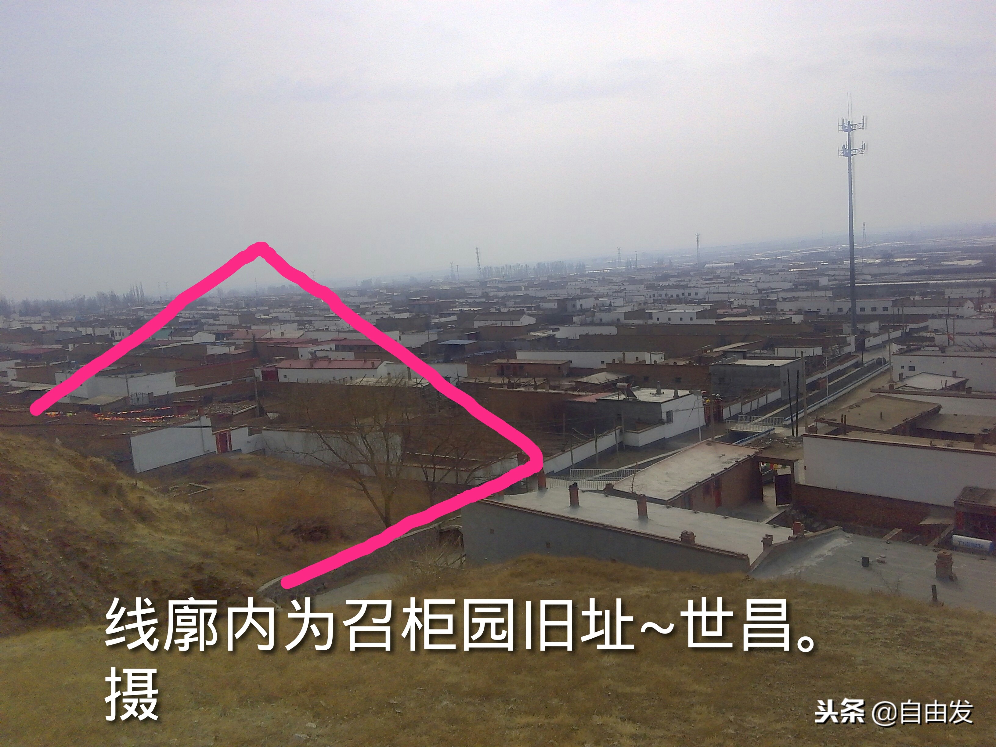 东园青史三百年（一）