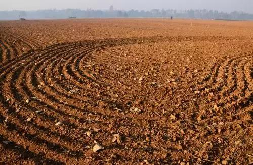 生僻字是抖音什么时候火的,抖音最火生僻字怎么唱