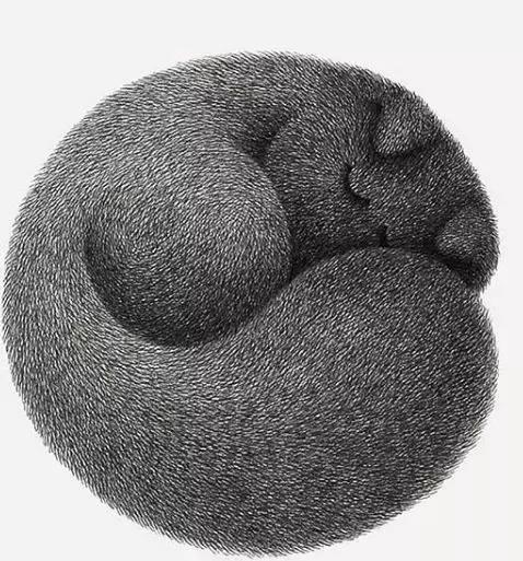 她用2元针管笔作画便惊艳了世界,他用粉笔画了一只猫