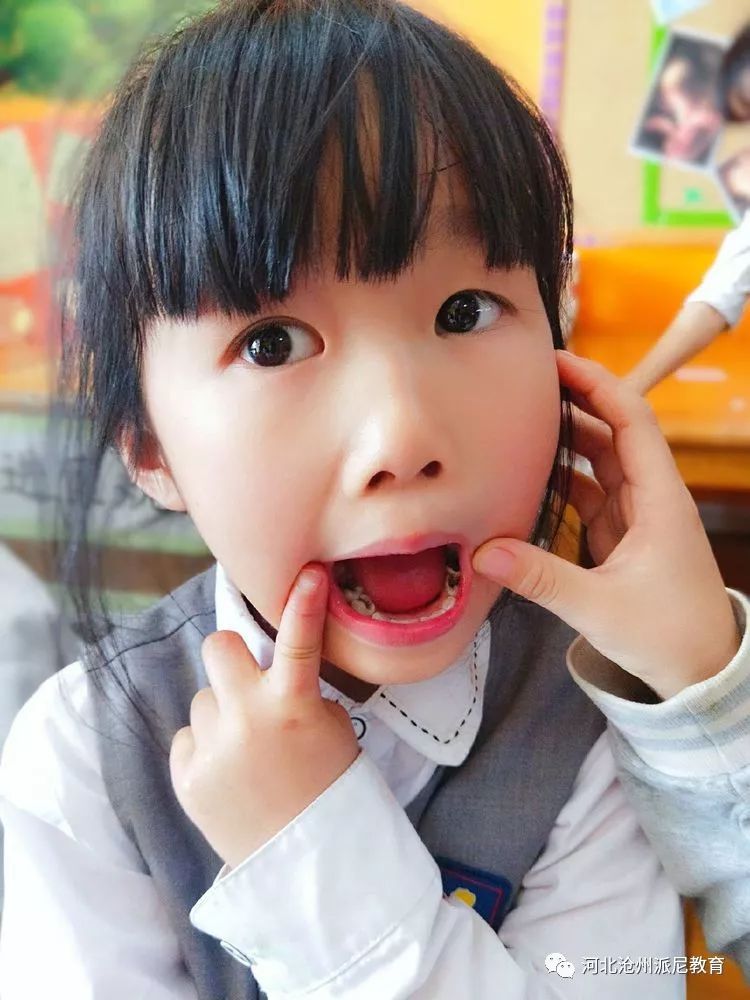 身体大揭秘动画,身体大揭秘