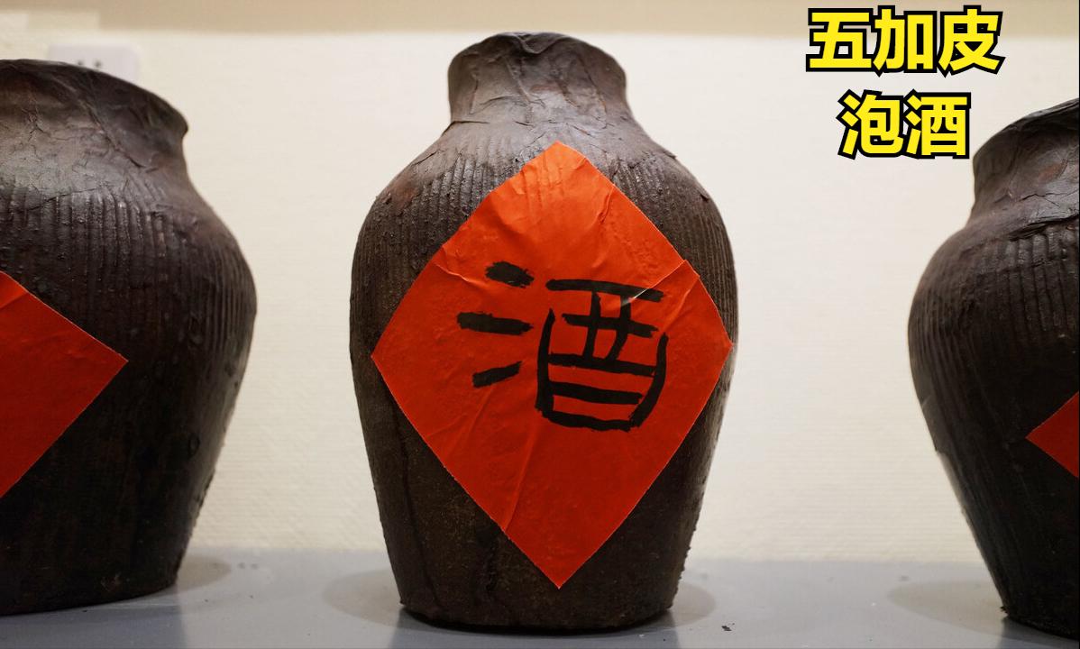 五加皮泡酒能治什么病,五加皮利水消肿