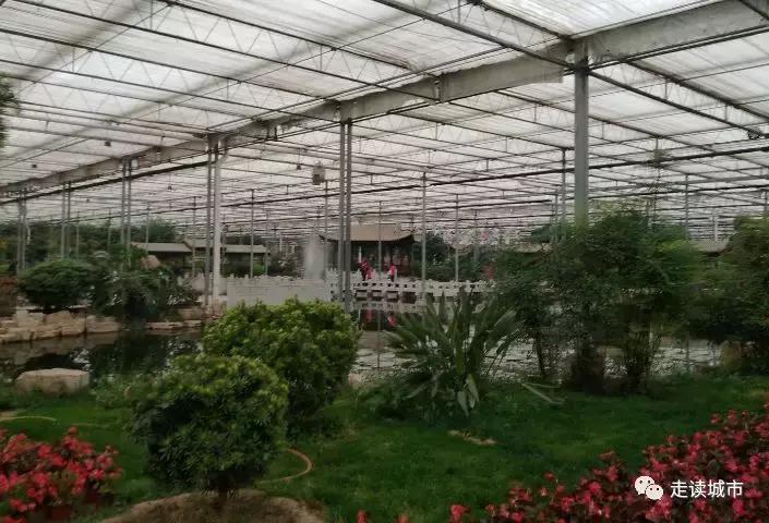 走读城市之廊坊安次(八):九天休闲谷