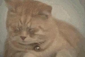 自己眼皮跳可以预测好事坏事,眼皮跳是福祸预兆吗