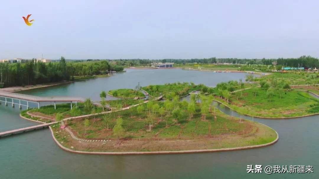 除了伽师瓜，你对伽师一无所知