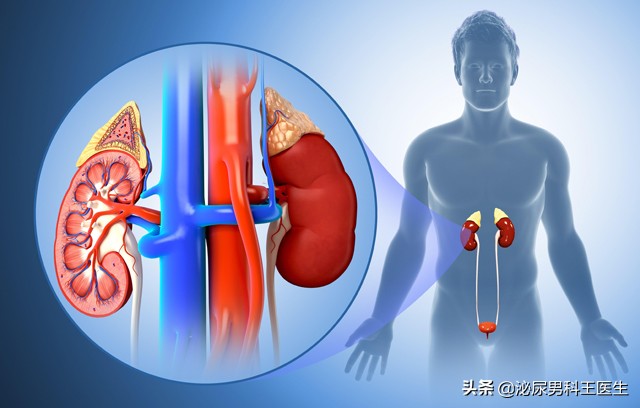 尿酸高身体会出现哪些症状,尿酸高怎么调理下来还需要吃药