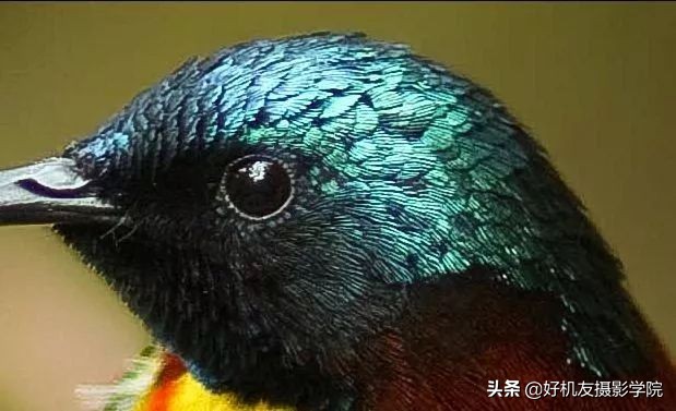 照片灰蒙蒙的怎么拍,照片灰蒙蒙的怎么变清新