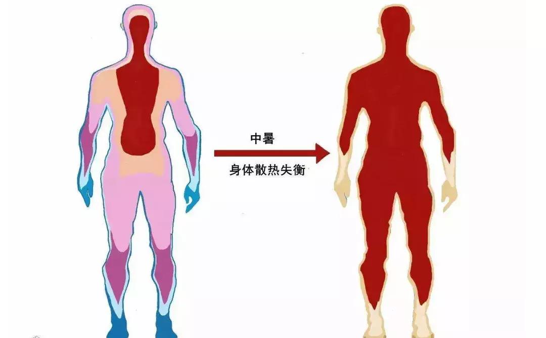 夏季被高温占领，这9个防中暑锦囊要收好，无忧无虑度夏天