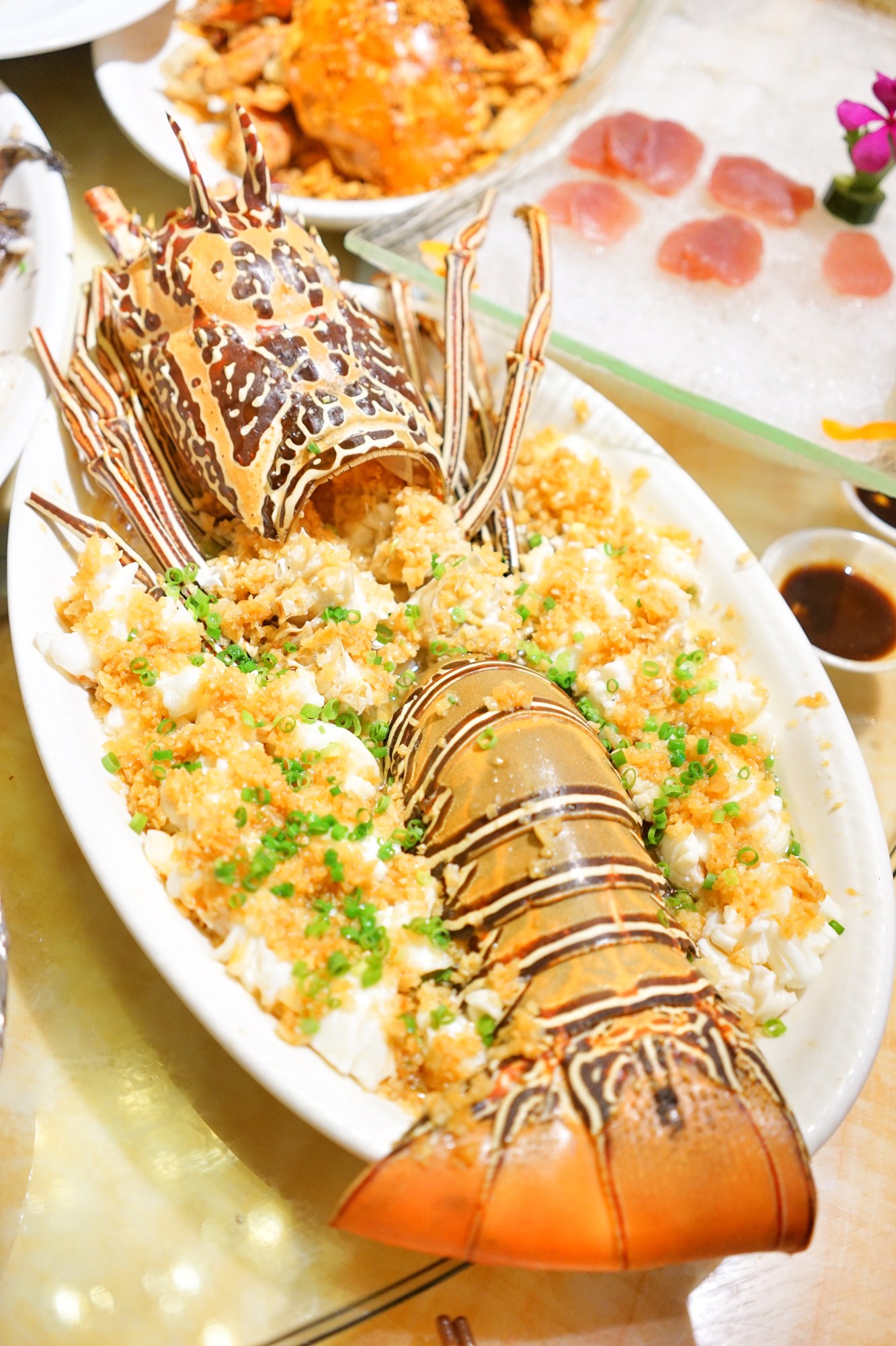 一定是特别的缘分——帕劳，再遇见「周若雪Patty」·上