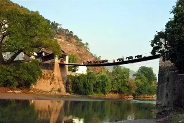 大理网红地方有哪些,云南大理网红景点洱海