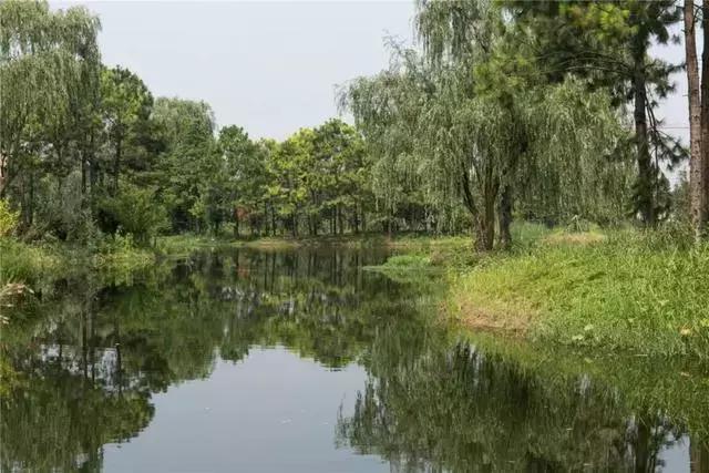 乌镇7月居轻奢酒店,乌镇阿丽拉酒店什么价格