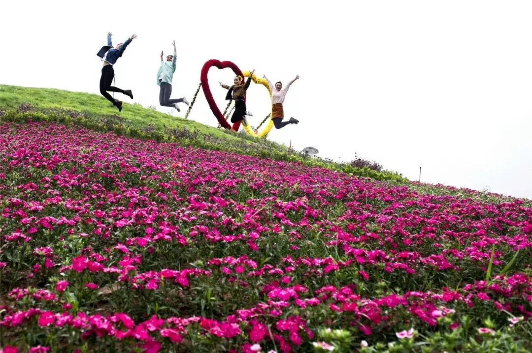 学历最高的农民,中国学历最高的农民