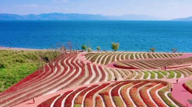 云南澄江民间苗族情歌,郎有情来妹有意,唱着浓浓的乡间爱情