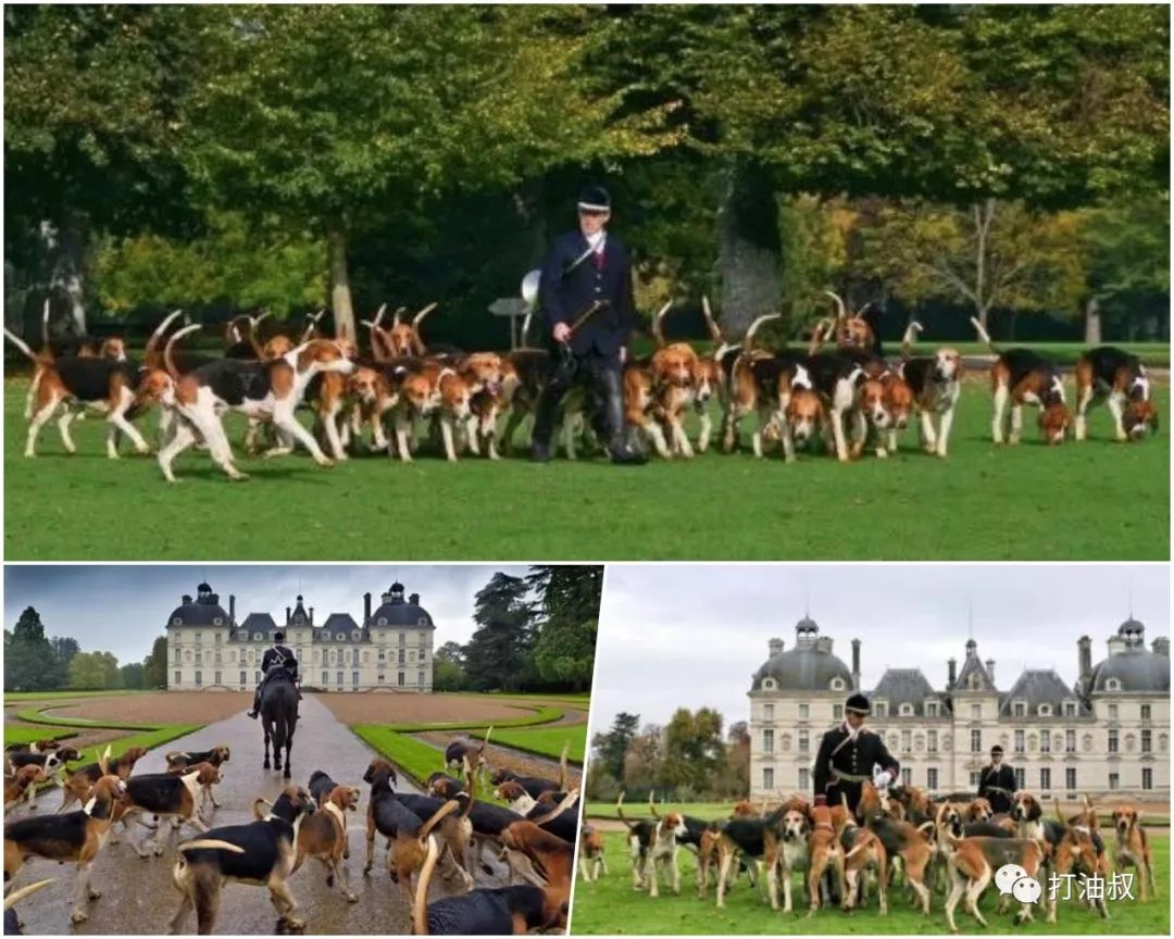 卢瓦尔河谷古堡之旅 (法国卢瓦尔河谷后花园)