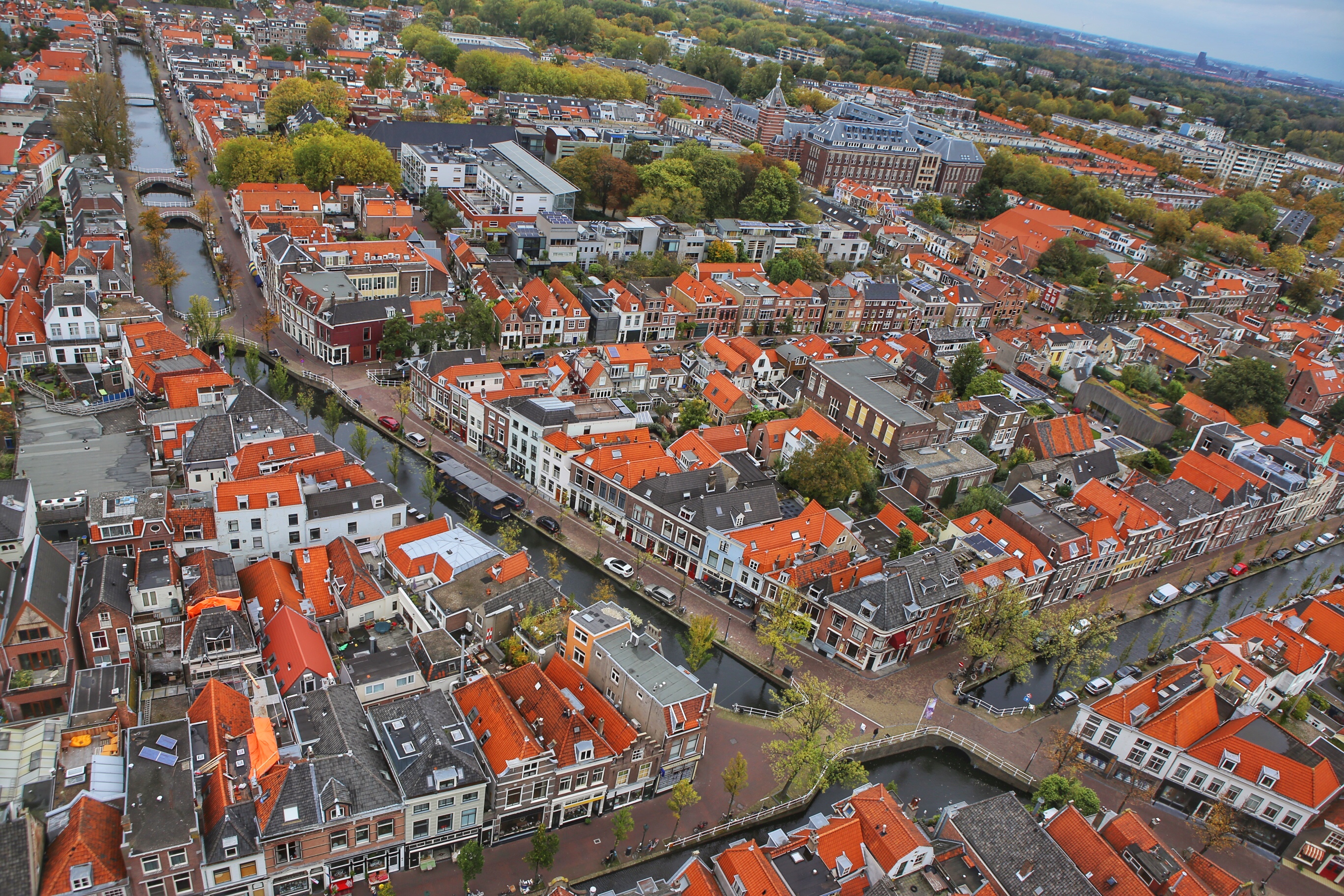 你真的了解荷兰吗,你真的了解郁金香吗