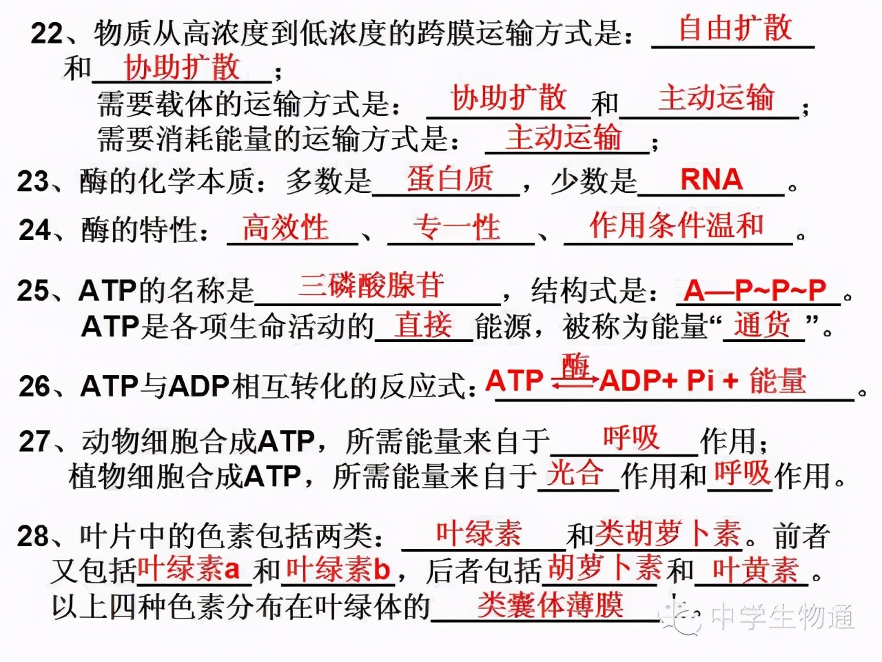 高中生物复习资料必修一,高中生物复习资料大全2019
