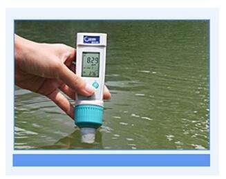 水产养殖中，不同有益菌有不同作用！菌类到底怎么用？