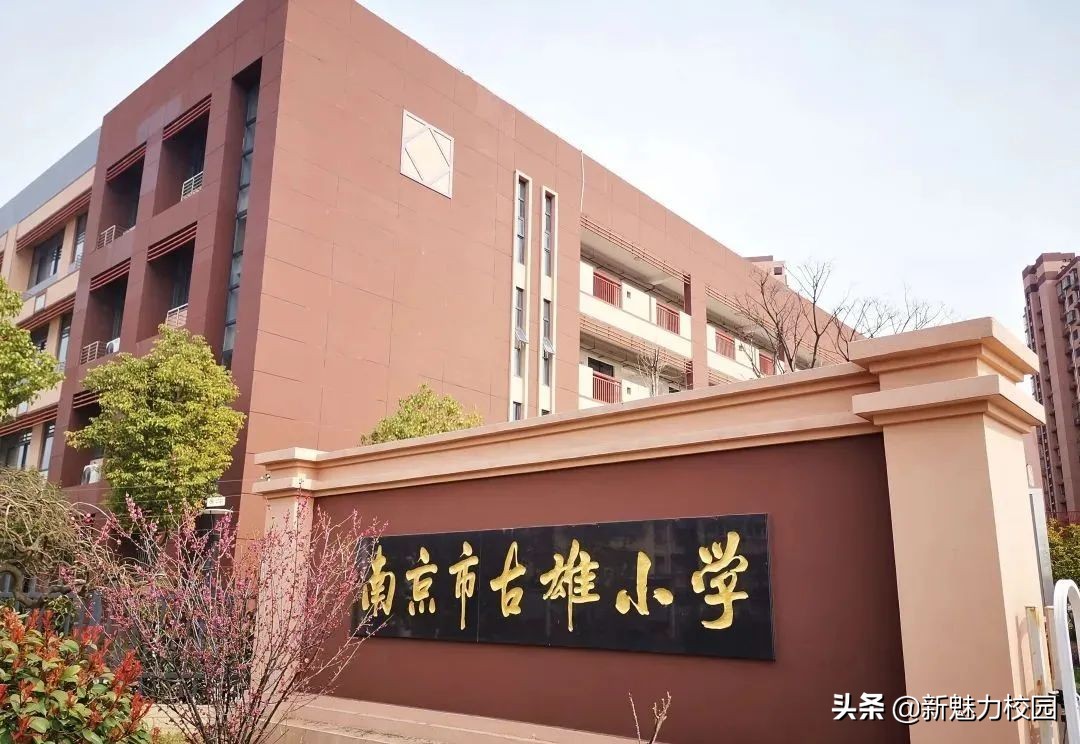 学校双减政策实施情况汇报,有哪些学校真正做到双减