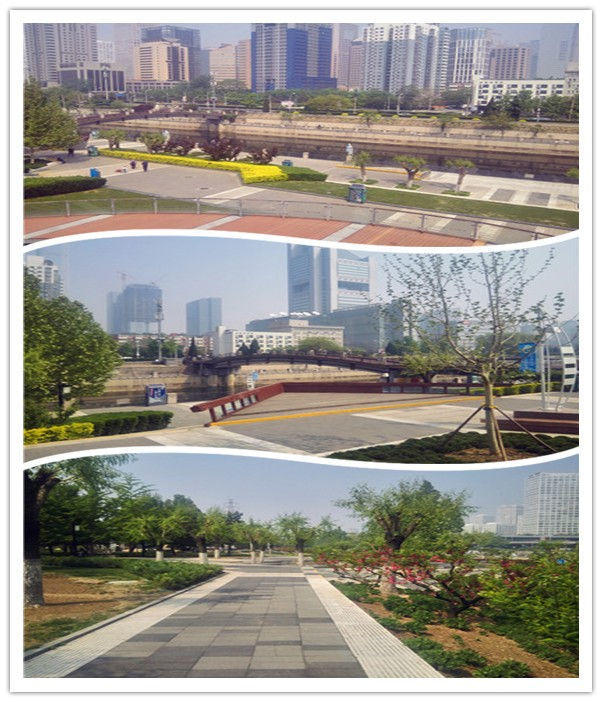 通惠河庆丰公园,通惠河畔湿地公园