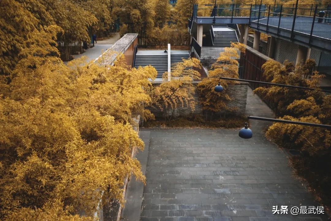 成都318自驾路线必去小众的景点,成都小众但值得去的地方