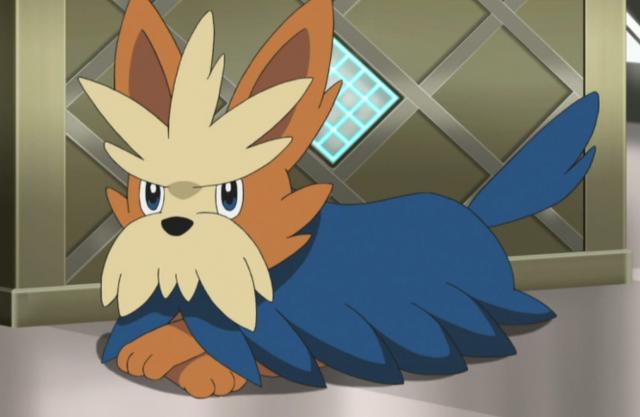 精灵宝可梦所有技能图鉴,宝可梦图鉴79只精灵