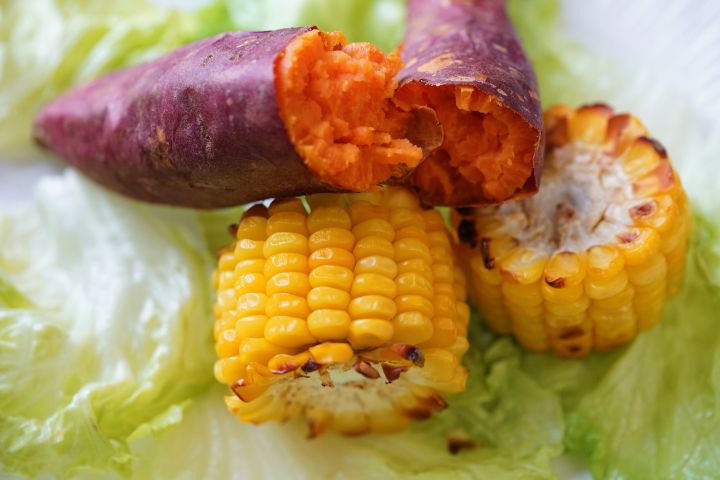 十种家用小电器好物推荐,家用小电器好物推荐横评