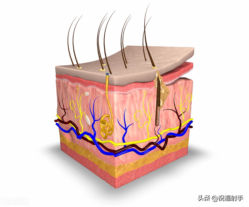 安全有效美容,最有效安全无副作用的美容方式