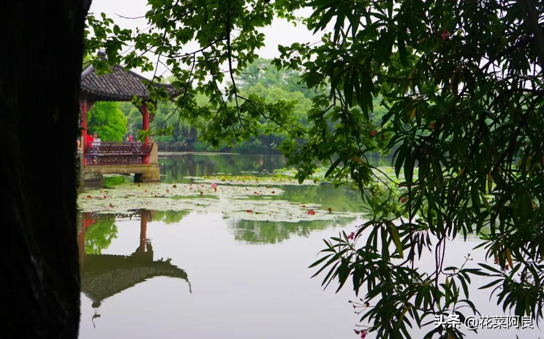 江南最忆是杭州,江南好最忆是杭州朗读