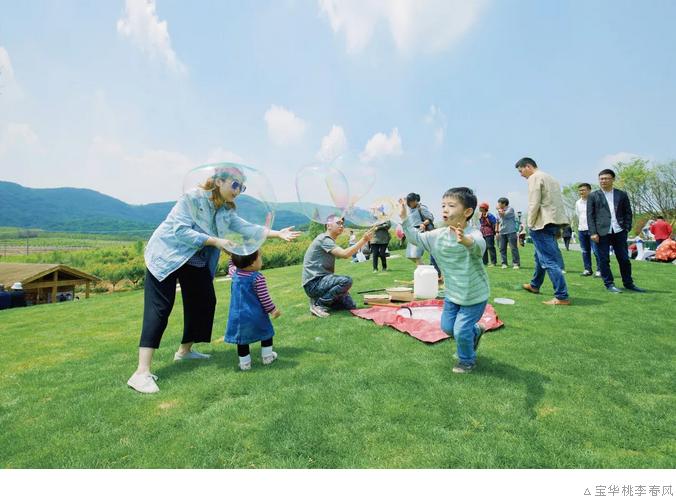 蓝城集团是否为500强,蓝城房地产集团简介