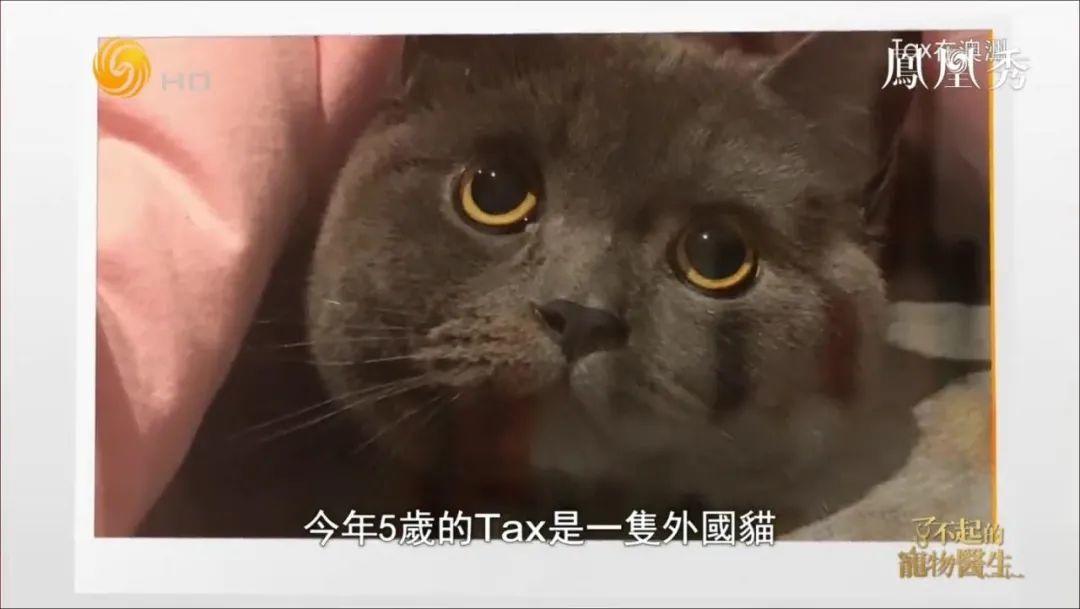 8.1国产良心,分分钟救你「狗命」