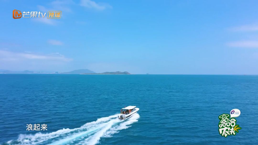 《哈哈农夫》西岛站：王源、杨超越、贾乃亮、金瀚说出明星的烦恼