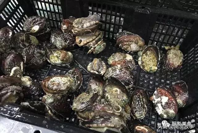 水煮贝壳类海鲜煮多久,海边海鲜用什么水煮好吃